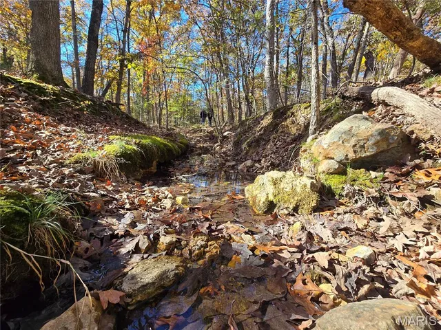 $800,000 | 107 Railroad Lane, Doe Run, MO 63637