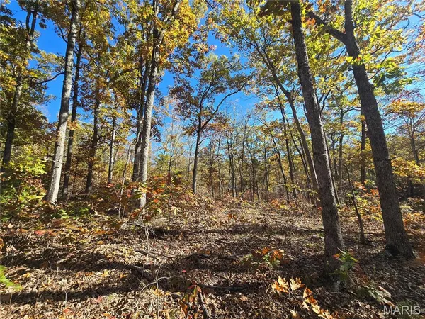 $699,900 | 107 Railroad Lane, Doe Run, MO 63637