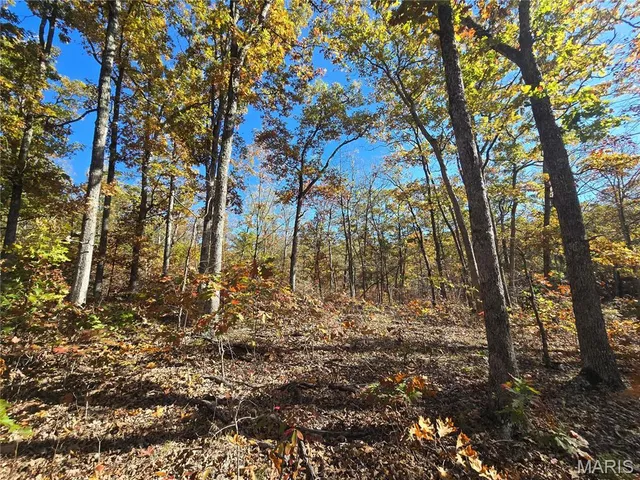 $800,000 | 107 Railroad Lane, Doe Run, MO 63637