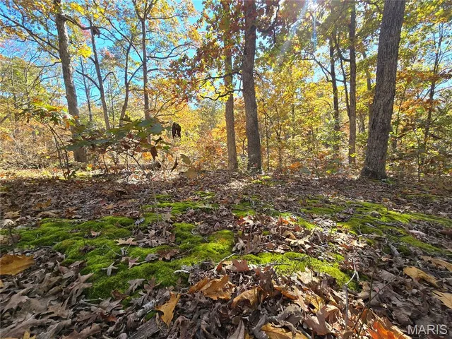 $800,000 | 107 Railroad Lane, Doe Run, MO 63637