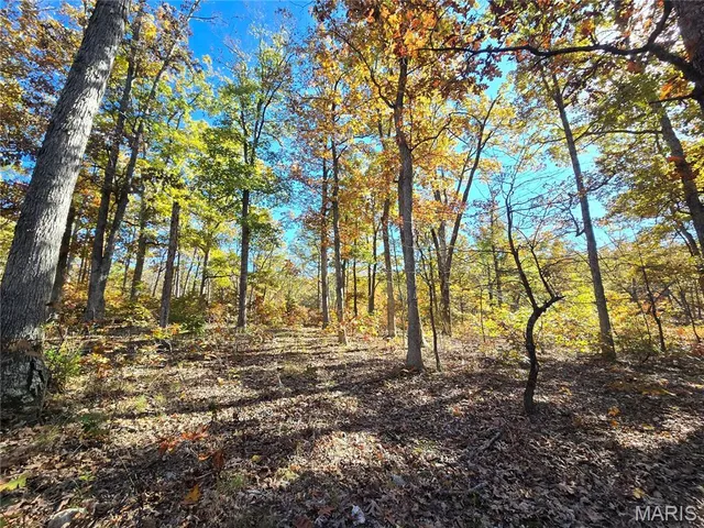 $800,000 | 107 Railroad Lane, Doe Run, MO 63637