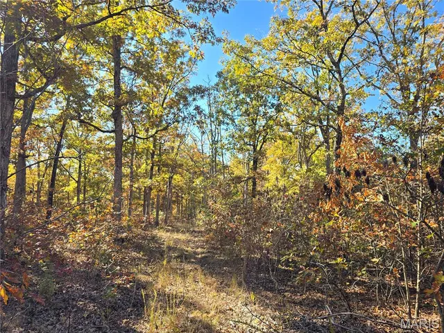 $800,000 | 107 Railroad Lane, Doe Run, MO 63637