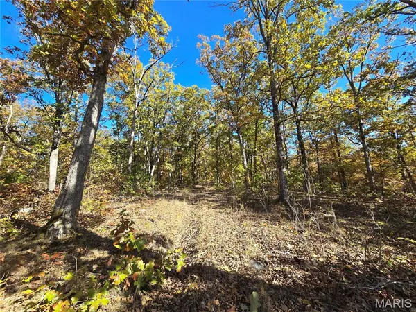 $699,900 | 107 Railroad Lane, Doe Run, MO 63637