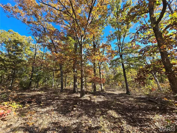 $699,900 | 107 Railroad Lane, Doe Run, MO 63637