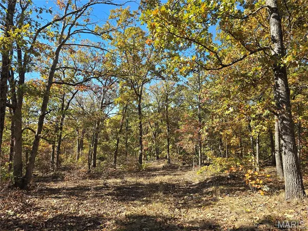 $699,900 | 107 Railroad Lane, Doe Run, MO 63637