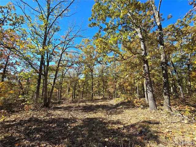 $800,000 | 107 Railroad Lane, Doe Run, MO 63637