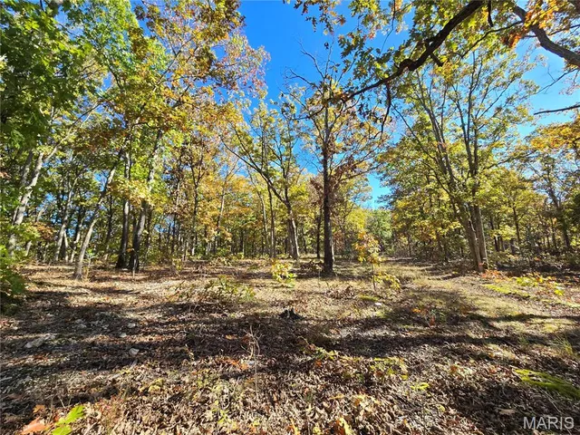 $800,000 | 107 Railroad Lane, Doe Run, MO 63637