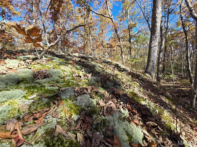 $800,000 | 107 Railroad Lane, Doe Run, MO 63637