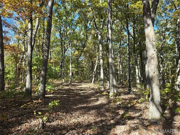 $699,900 | 107 Railroad Lane, Doe Run, MO 63637