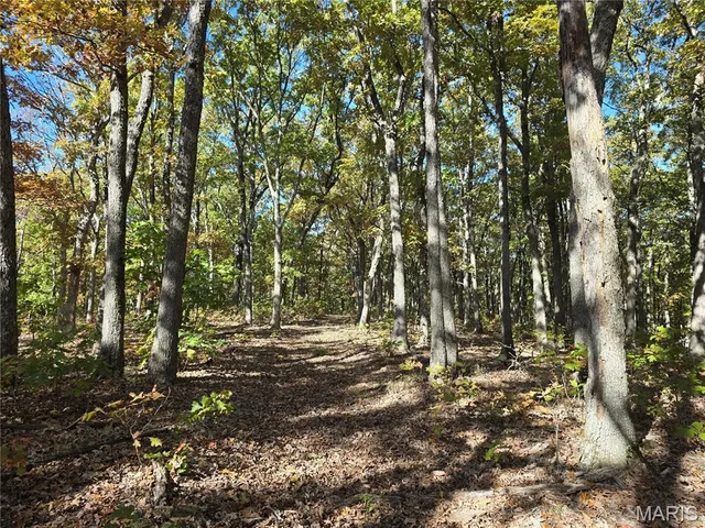 $800,000 | 107 Railroad Lane, Doe Run, MO 63637