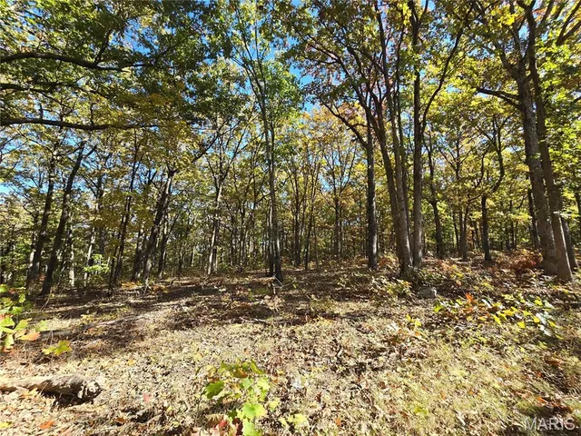 $800,000 | 107 Railroad Lane, Doe Run, MO 63637