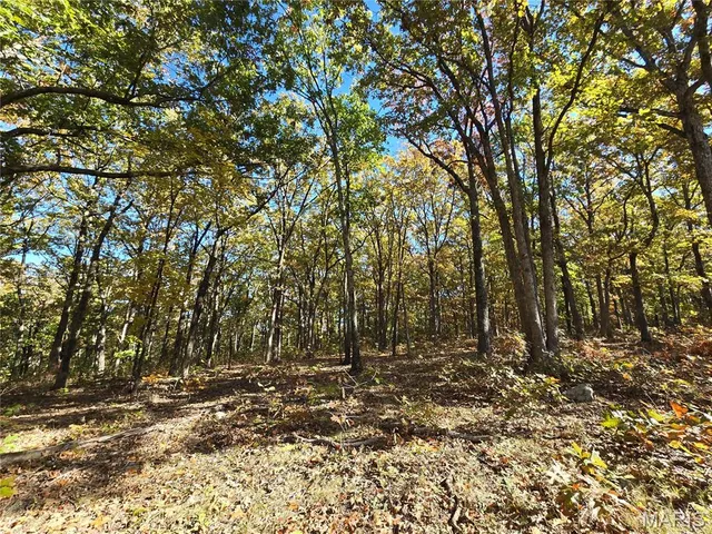 $800,000 | 107 Railroad Lane, Doe Run, MO 63637