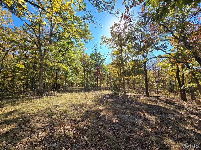 $800,000 | 107 Railroad Lane, Doe Run, MO 63637