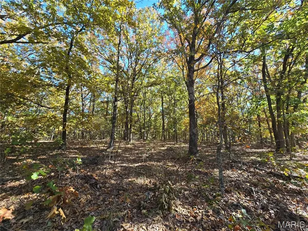$699,900 | 107 Railroad Lane, Doe Run, MO 63637