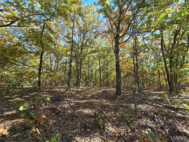 $800,000 | 107 Railroad Lane, Doe Run, MO 63637