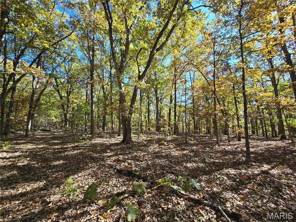 $699,900 | 107 Railroad Lane, Doe Run, MO 63637
