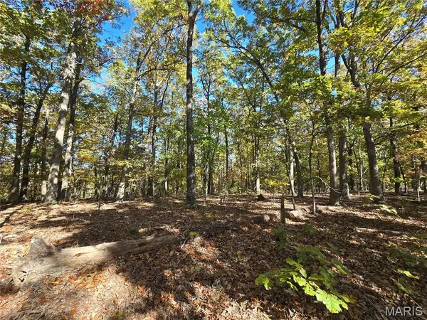 $699,900 | 107 Railroad Lane, Doe Run, MO 63637