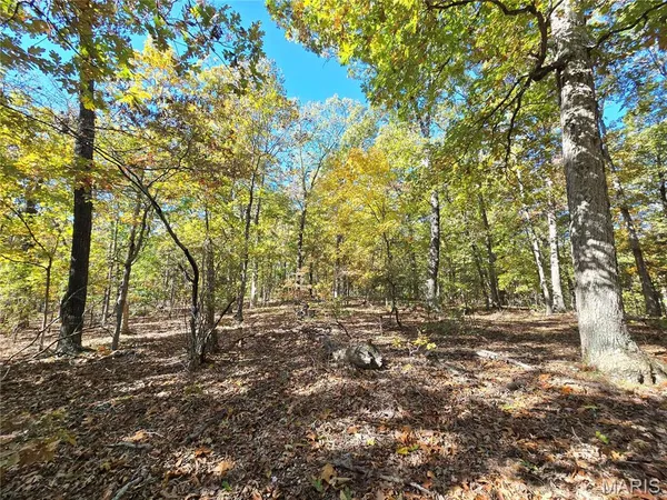 $699,900 | 107 Railroad Lane, Doe Run, MO 63637