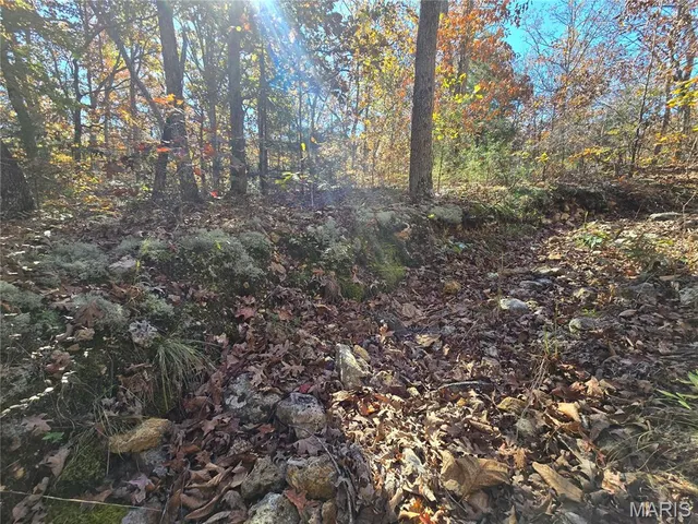 $800,000 | 107 Railroad Lane, Doe Run, MO 63637