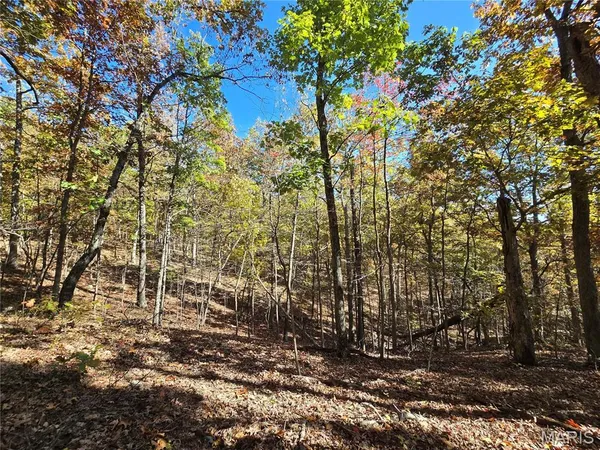 $699,900 | 107 Railroad Lane, Doe Run, MO 63637