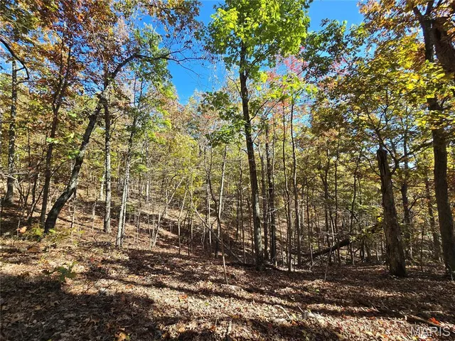 $800,000 | 107 Railroad Lane, Doe Run, MO 63637