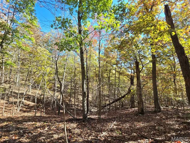 $800,000 | 107 Railroad Lane, Doe Run, MO 63637