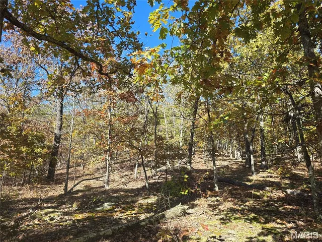 $800,000 | 107 Railroad Lane, Doe Run, MO 63637