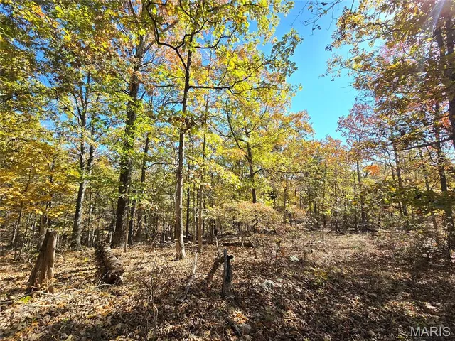 $800,000 | 107 Railroad Lane, Doe Run, MO 63637