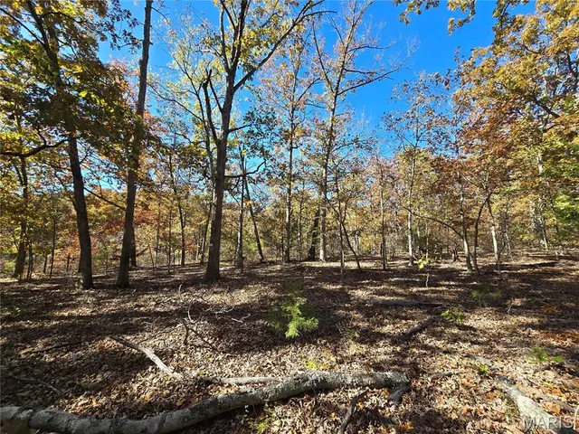 $800,000 | 107 Railroad Lane, Doe Run, MO 63637