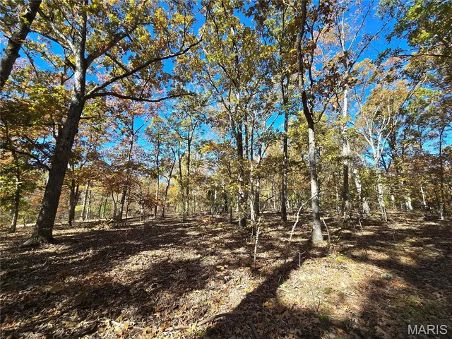 $800,000 | 107 Railroad Lane, Doe Run, MO 63637