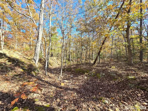$699,900 | 107 Railroad Lane, Doe Run, MO 63637