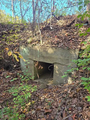 $800,000 | 107 Railroad Lane, Doe Run, MO 63637