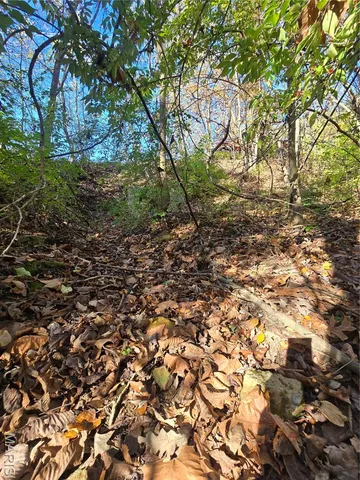 $800,000 | 107 Railroad Lane, Doe Run, MO 63637