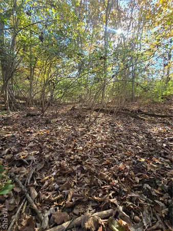 $699,900 | 107 Railroad Lane, Doe Run, MO 63637