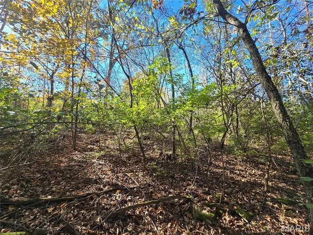 $800,000 | 107 Railroad Lane, Doe Run, MO 63637