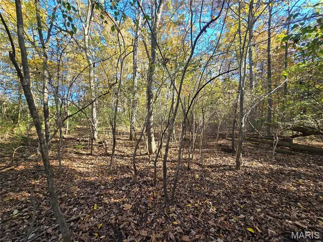 $800,000 | 107 Railroad Lane, Doe Run, MO 63637