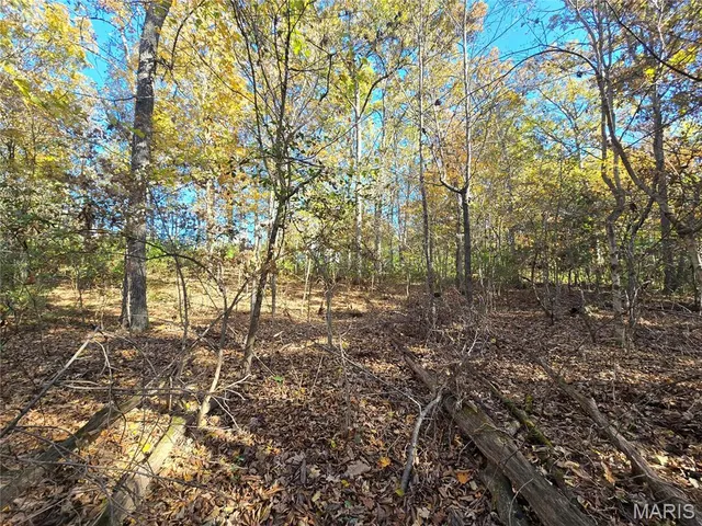 $800,000 | 107 Railroad Lane, Doe Run, MO 63637