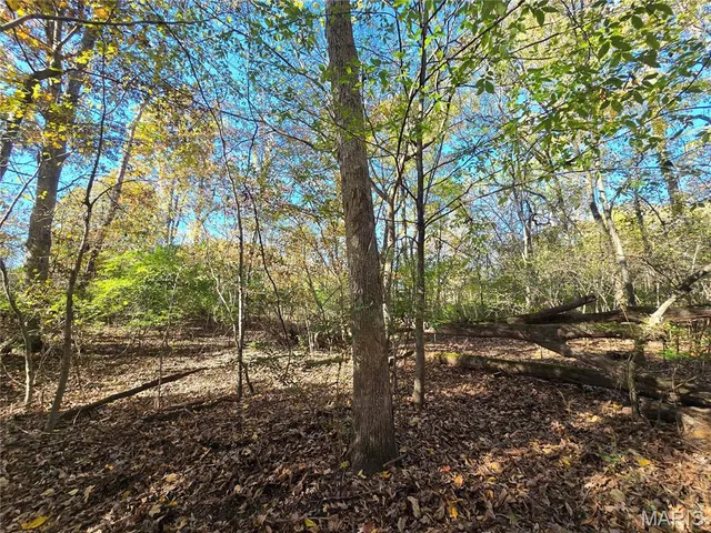 $800,000 | 107 Railroad Lane, Doe Run, MO 63637