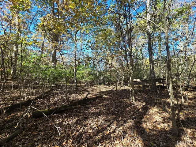 $800,000 | 107 Railroad Lane, Doe Run, MO 63637