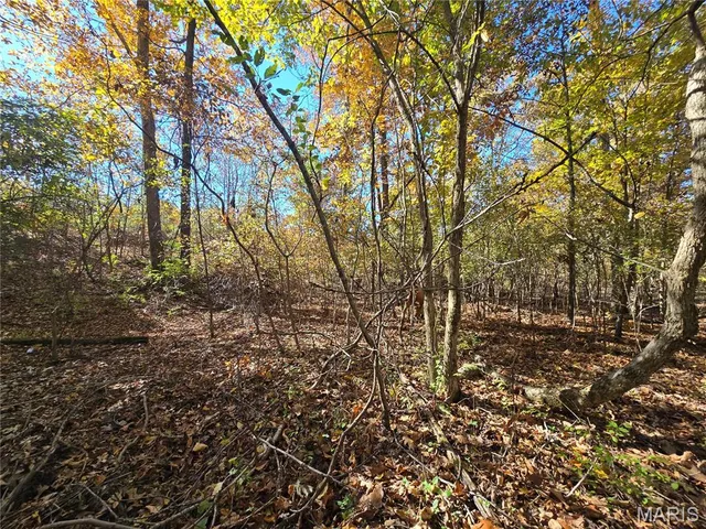 $800,000 | 107 Railroad Lane, Doe Run, MO 63637