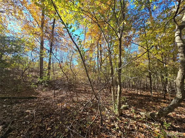 $699,900 | 107 Railroad Lane, Doe Run, MO 63637