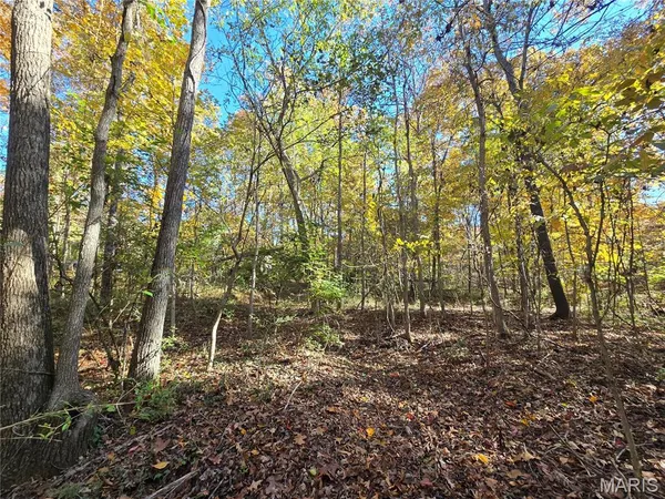 $699,900 | 107 Railroad Lane, Doe Run, MO 63637