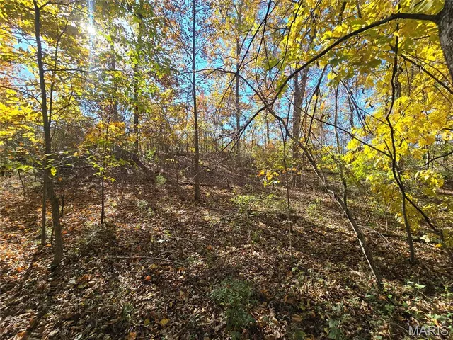 $800,000 | 107 Railroad Lane, Doe Run, MO 63637