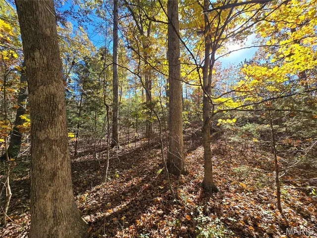 $800,000 | 107 Railroad Lane, Doe Run, MO 63637