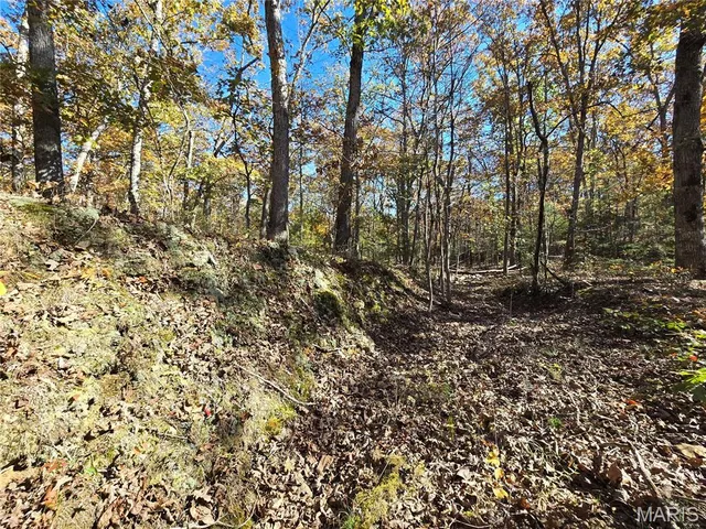 $800,000 | 107 Railroad Lane, Doe Run, MO 63637