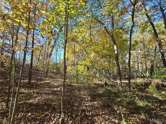 $800,000 | 107 Railroad Lane, Doe Run, MO 63637