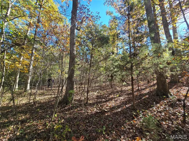 $800,000 | 107 Railroad Lane, Doe Run, MO 63637