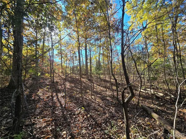 $699,900 | 107 Railroad Lane, Doe Run, MO 63637