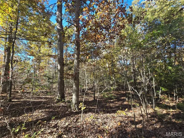 $800,000 | 107 Railroad Lane, Doe Run, MO 63637