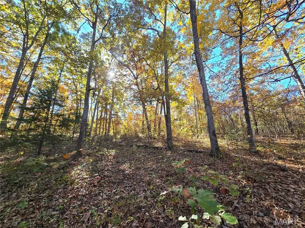 $699,900 | 107 Railroad Lane, Doe Run, MO 63637